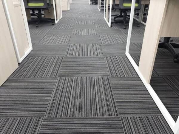 Plush Carpet Flooring - Image 3