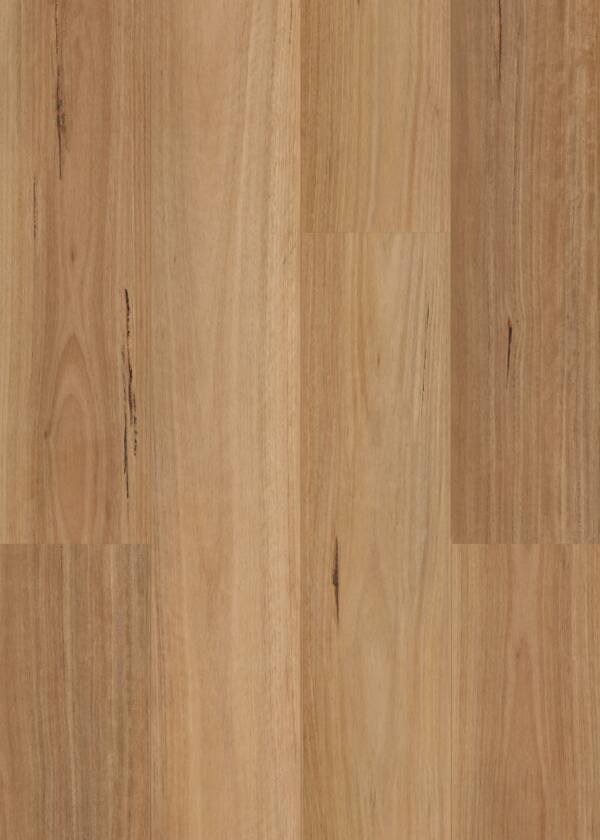 Coastal Blackwood