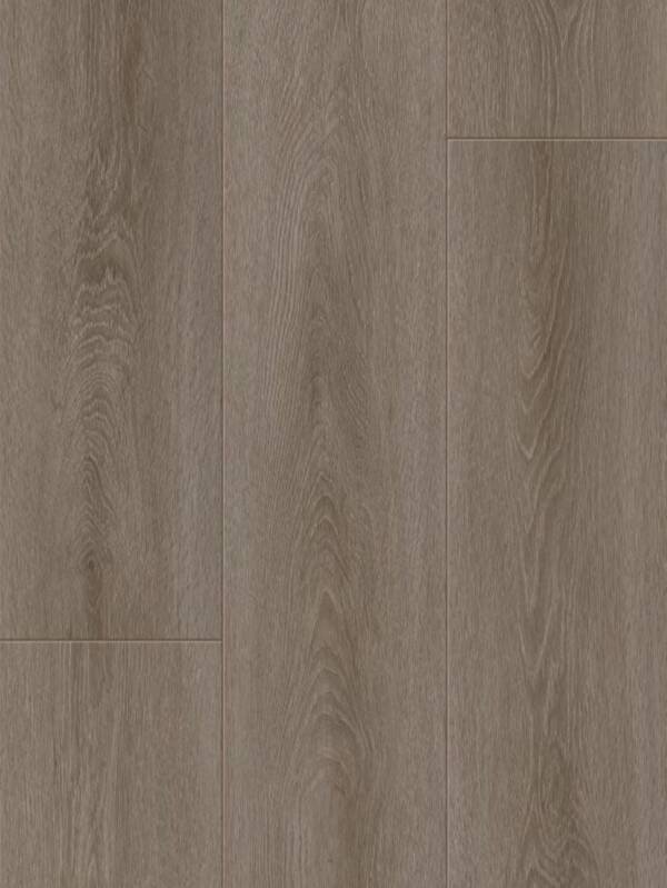 Caramel Oak