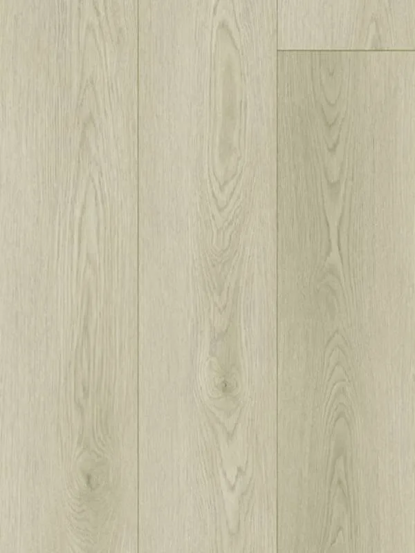 Hamburg Oak