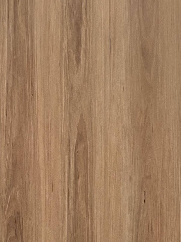 Blackbutt