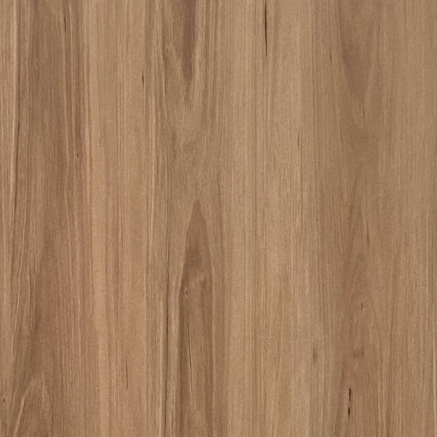 Blackbutt