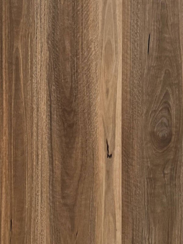 Spotted Gum