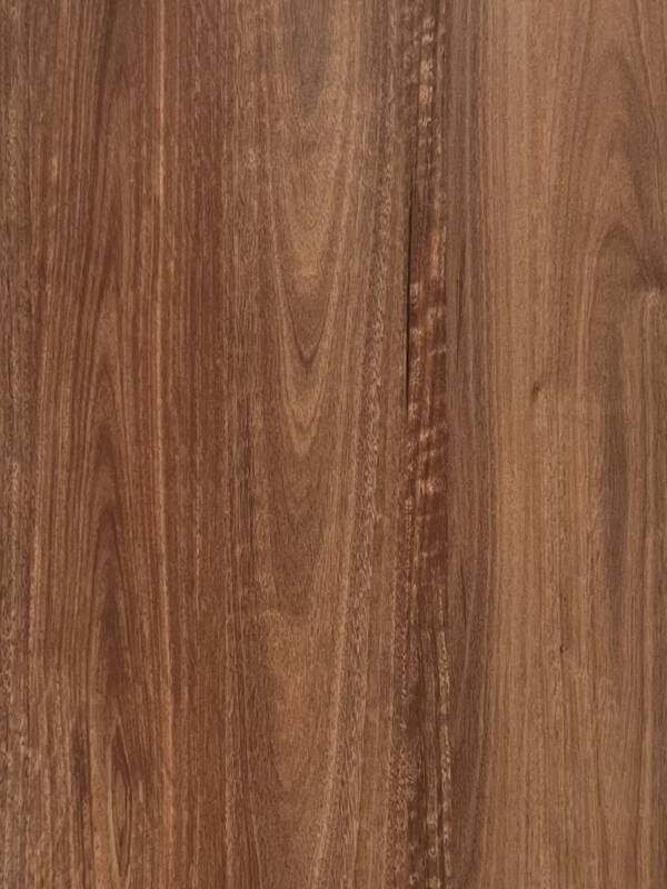 QLD Spotted Gum