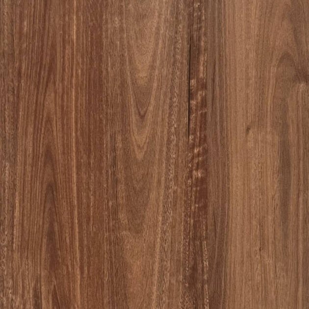 QLD Spotted Gum