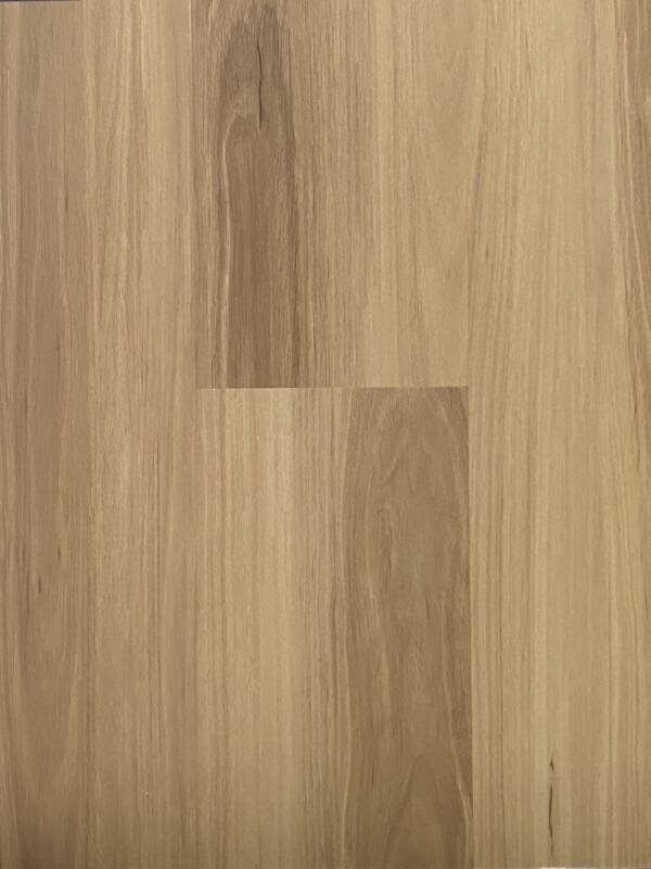 Blackbutt
