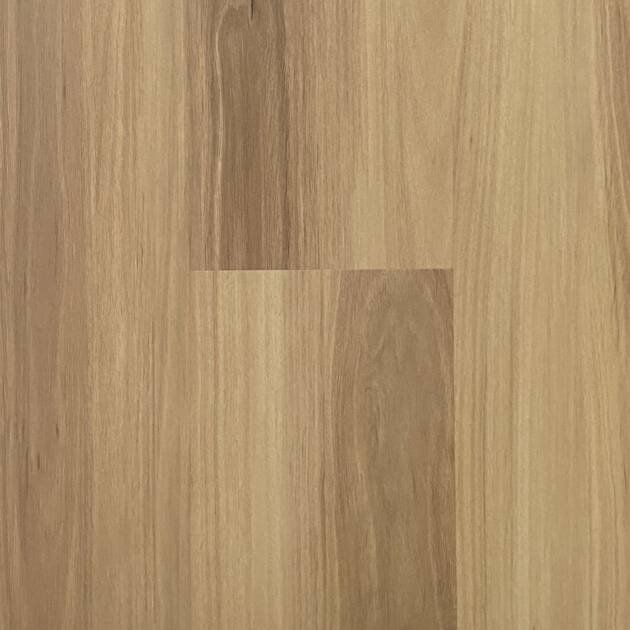 Blackbutt
