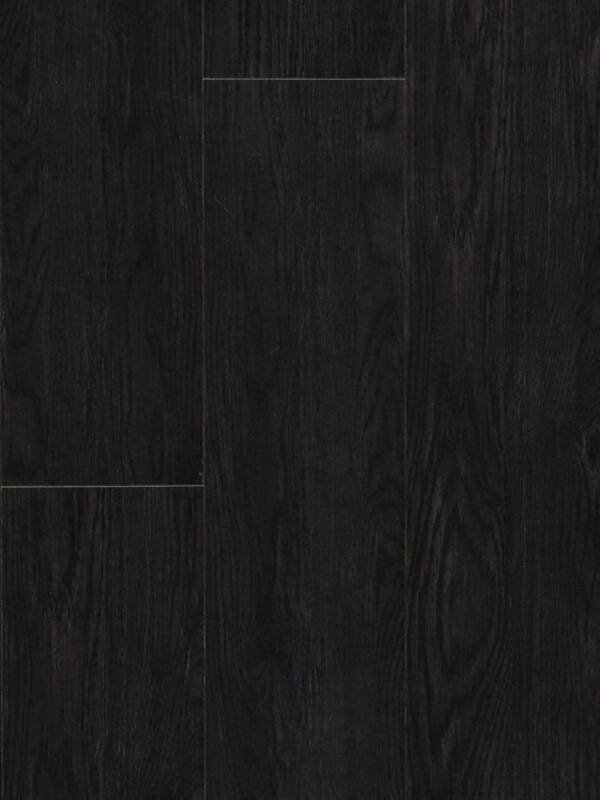 Forest Black Oak