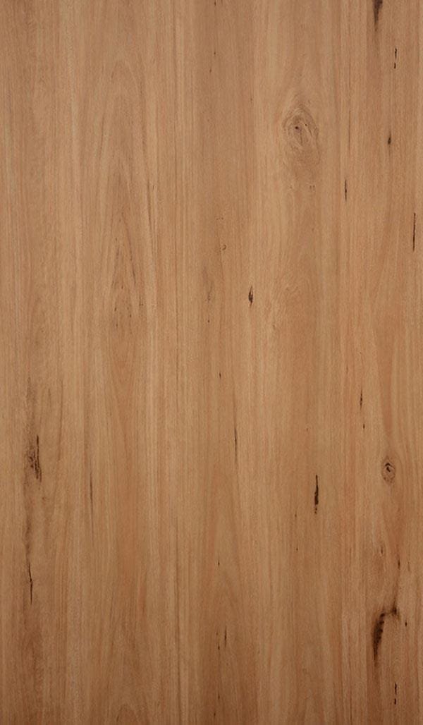 C2181Coastal-Blackbutt.jpg Standard Hybrid Series - Image 1