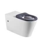 BACK TO WALL IN-WALL CISTERN DISABLED TOILET