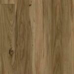 Homestead Spotted Gum