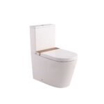 Torando Rimless Smart Toilet