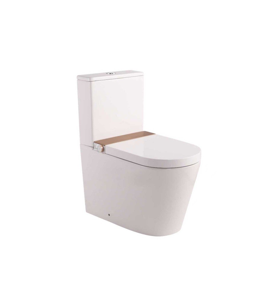 Renovation and flooring installation project in Melbourne. Torando Rimless Smart Toilet - Image 1