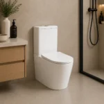 Two Piece Rimless Nano Glaze Toilet | 610x360x810mm | AHF