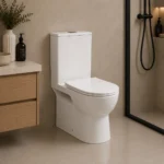 Back To Wall Rimless Toilet | 650x370x700mm | AHF