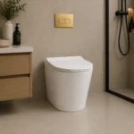 In-Wall Cistern Rimless Toilet Nano Glaze | 515x365x420mm | AHF