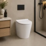 In-Wall Cistern Wall Hung Rimless Toilet Nano Glaze | 515x365x420mm | AHF